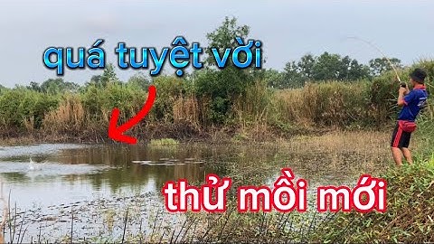câu cá lóc | câu ngày cuối | rong chơi miền tây #lurecaloc #sonrau #rongchoimientay