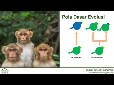 Materi Biologi - Evolusi - Makroevolusi