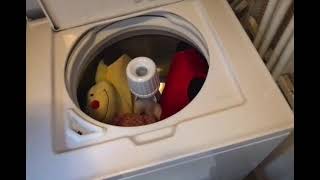 How to Wash Stuffed Animals (Simple)