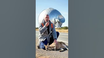 🦘 Heroic Rescue: Kangaroo Saved Just in Time!