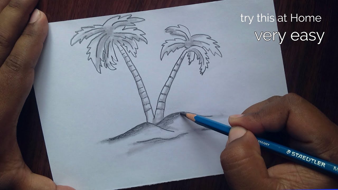 Palm Tree drawing | Pencil Sketching Tutorial