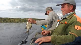 ЛОВЛЯ ЛЕЩА. ВОЛГА. село Малая Рязань Ставропольский район, Самарская область