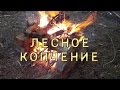 Лесное копчение