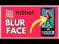 How to Blur Face in InShot 2024?