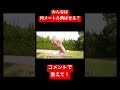 ソフトボール投げの裏技を使って世界記録出してみた#バンカラジオ #shorts