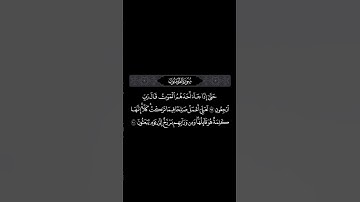 ﴿حَتّى إِذا جاءَ أَحَدَهُمُ المَوتُ قالَ رَبِّ ارجِعونِ ﴾     #القرآن_الكريم #القرآن #تلاوات #تلاوة