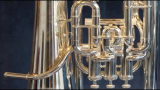 Video voorbeeld van "Les Brown Aho - Blue Danube (Strauss)"