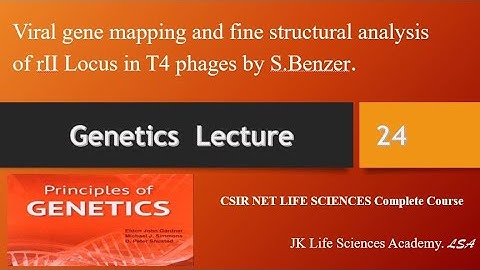 Viral gene mapping and fine structural analysis of rII Locus in T4 phages.#CSIR#NETDBT#ICMR#JRF