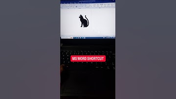 Ms Word Shortcut for 🐈 #msword #microsoftword #shortsfeed #shortsvideo #shortsviral #shorts