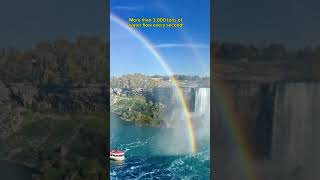 👉 🤯 Amazing Niagara Falls Facts You Didn't Know! 🌊 #Shorts