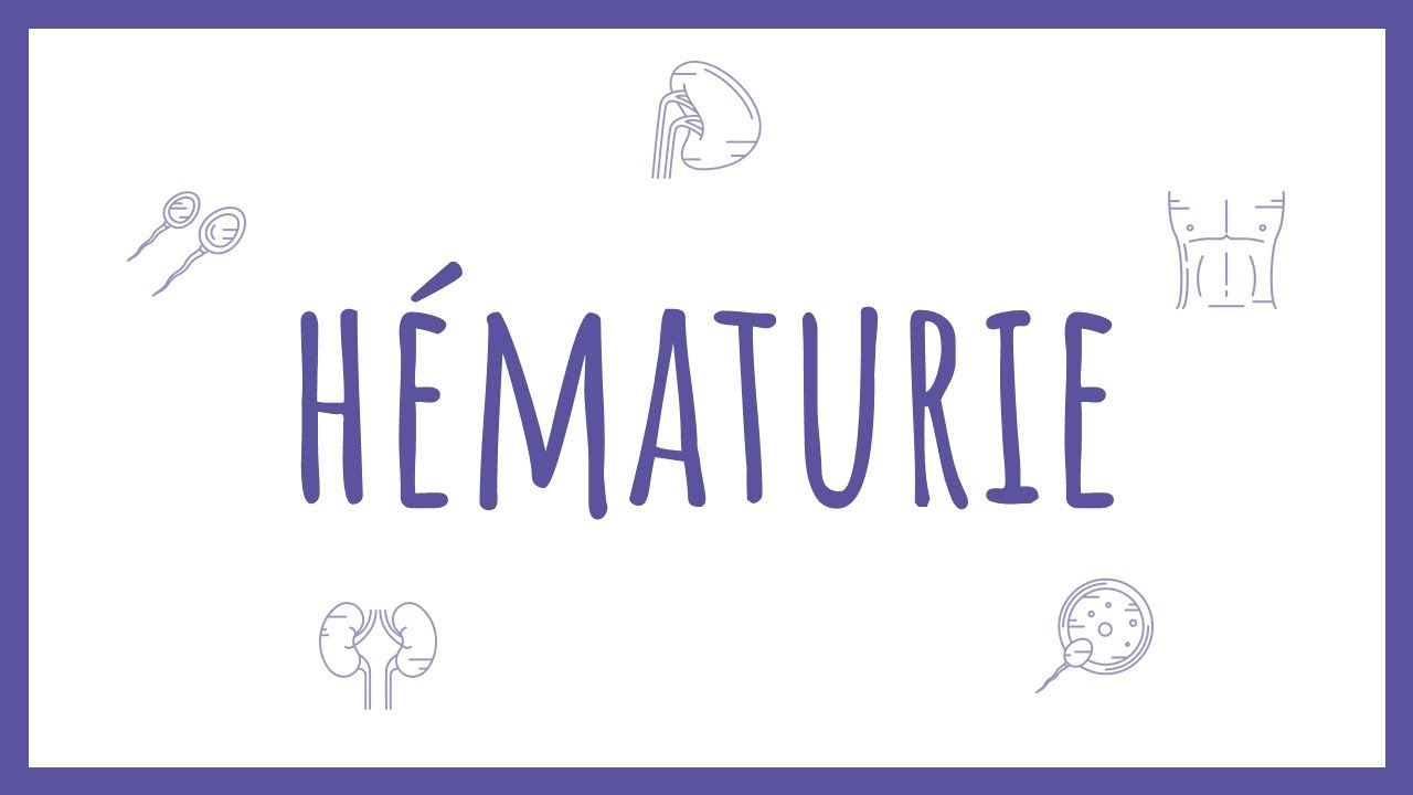 Sémiologie Urologique - L'Hématurie