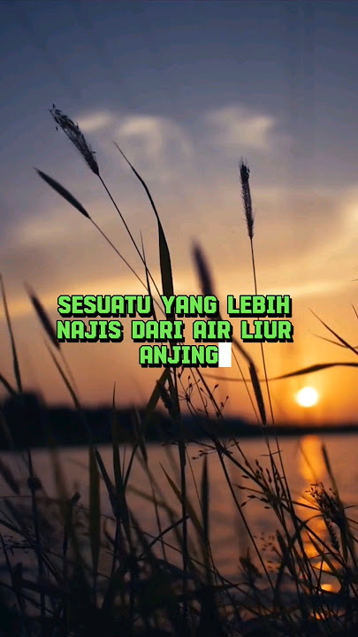 lebih najis dari air liur anjing #cerita #motivation #fakta #ayatkursi #katakatabijak #faktaunik