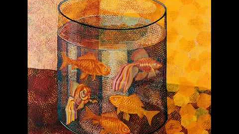 Kto sú zlaté rybky aktívne a rastú rýchlo?