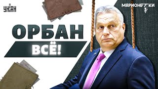 Офигеть! Новый КОМПРОМАТ на Орбана - у дружка Путина большие проблемы. Громкий скандал в Венгрии