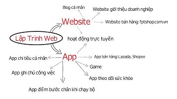 Internet, địa chỉ IP, Domain, Hosting là gì? cần biết trước khi học Lập Trình Web - An Pham Official