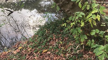 Monash University Global Discovery Program 2018