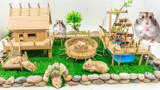 Hamster Maze Building - Build Hamster House form Cardboard DIY