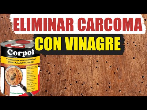 Video: ¿Puedo usar vinagre para matar termitas?