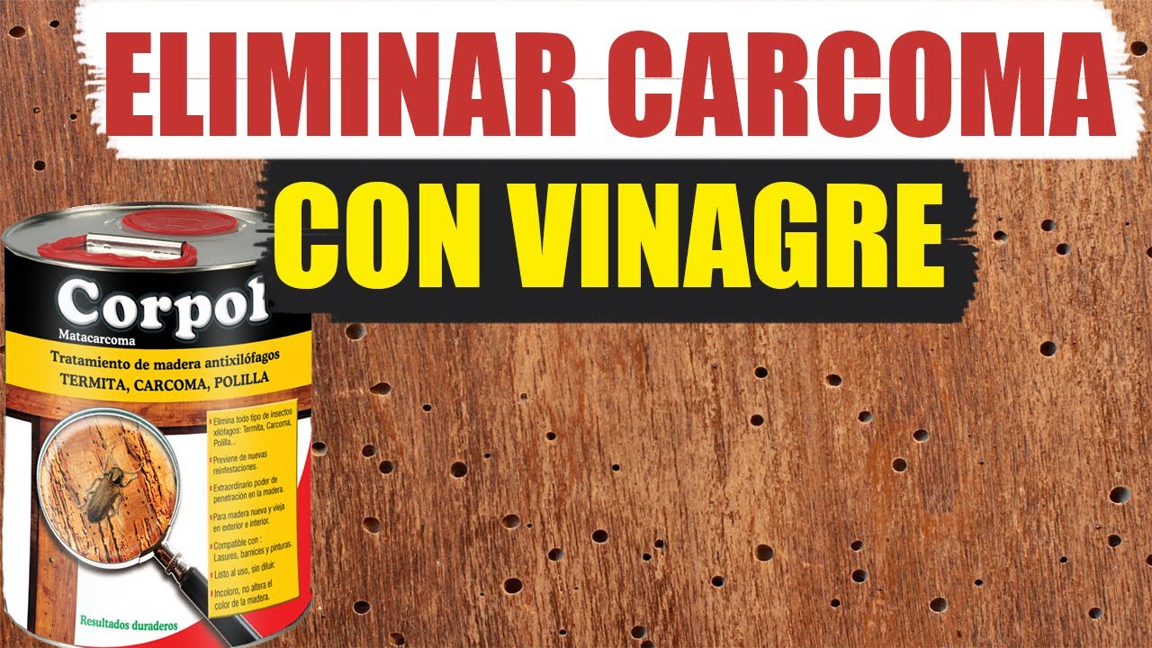 Cómo Eliminar la Carcoma de la Madera Eficazmente? – Remihogar