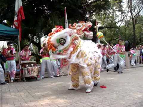 醒獅 顏色 功夫閣(李家醒獅)