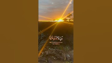 القرآن الكريم.قراءة جميلة #استغفرالله #راحة_نفسية #لايك #تيك_توك #اكسبلور #استغفار #ترند