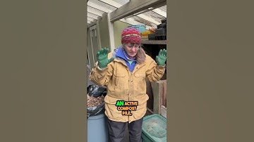 Winter Composting Hack From Alaska