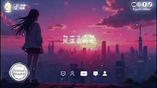 洋澜一 - 雨蝶 (抖音热播版)『爱到心破碎，也别去怪谁，只因为相遇太美，就算流干泪，伤到底』【高音質 动态歌词MV/PinyinLyrics】