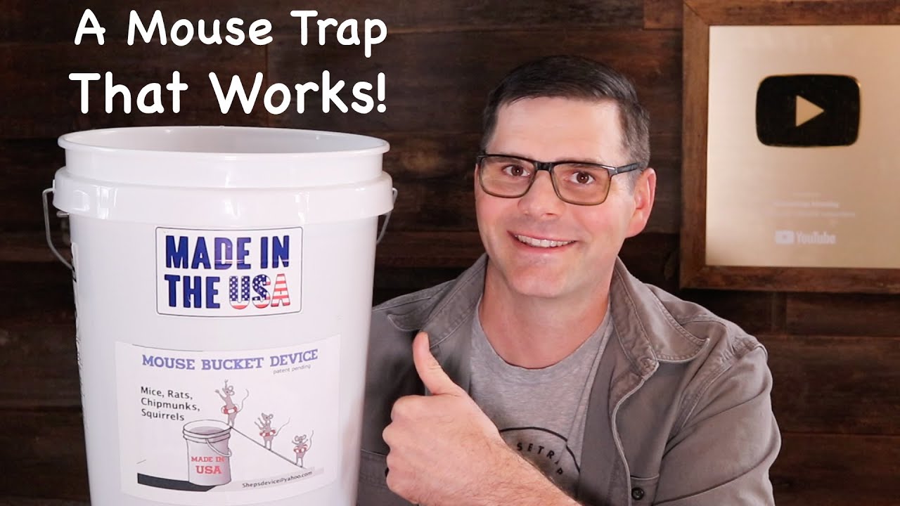 An Awesome and Simple Mouse Trap That Works! The Mouse Bucket Device.  Mousetrap Monday 