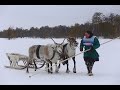 КОРЕННЫЕ НАРОДЫ СИБИРИ indigenous peoples of Siberia