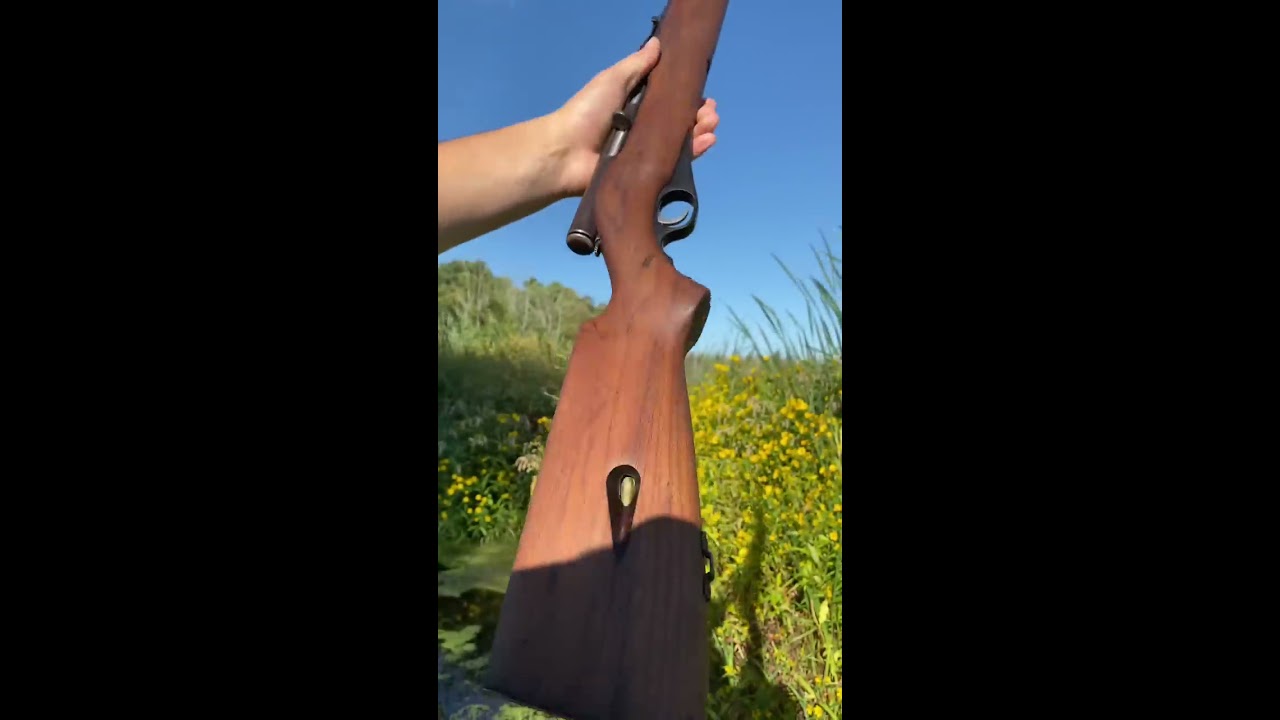 Mossberg 51 22