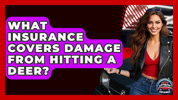 What Insurance Covers Damage From Hitting A Deer? - Auto Coverage Explained
