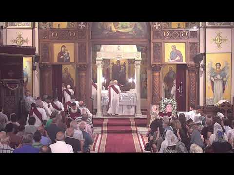 صلاة القداس الالهي القس كيرلس ساويرس و القمص داود لمعى الخميس 25 يوليو 2024 كنيسة مارمرقس