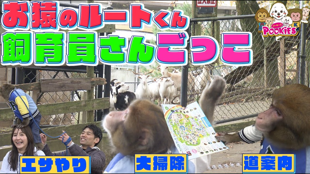 ルートくんが阿蘇カドリー・ドミニオンでお手伝い！【プーキーズ】