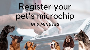Register your pet