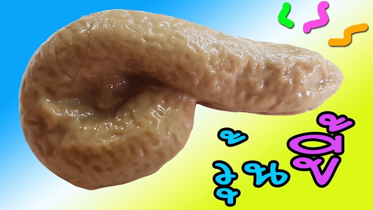 วุ้นอุนจิ วุ้นขี้! สอนทำวุ้นขี้ - How to make Poop Jelly with Coconut Milk | วุ้นแฟนซี