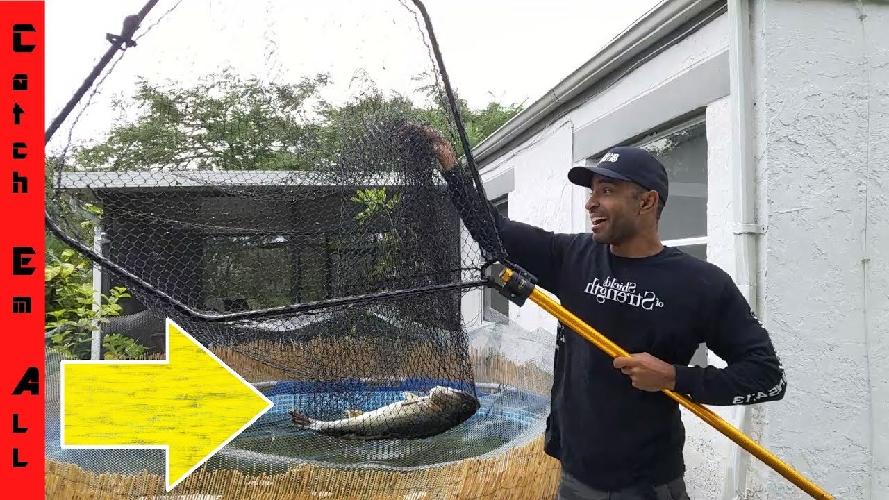 GIANT NET to Transport BIG FISH to Bigger AQUARIUM POND! YouTube