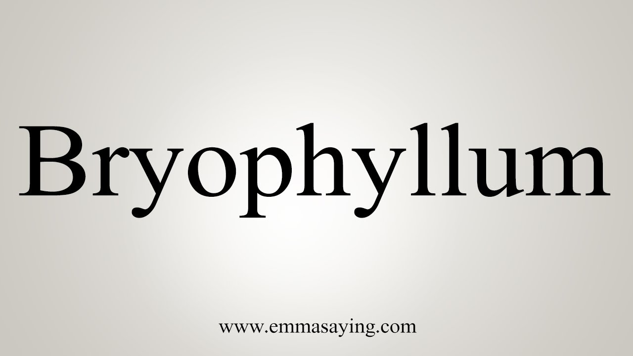 how-to-say-bryophyllum-youtube