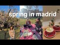 A perfect spring day in spain abroad diaries