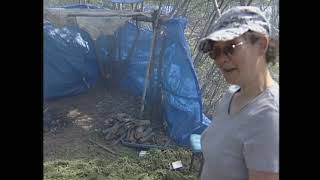 Brain Tanning Moose Hide with Mary Okheena in Inuvik