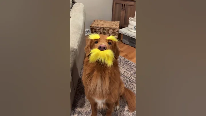 He Speaks for the Trees || ViralHog