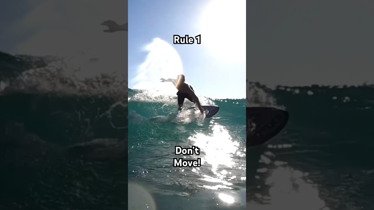 Rule 1 - Don’t Move Unless G… Skimmer Almost takes my head off!