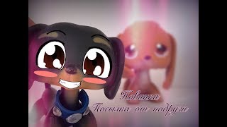 LPS: Новинки #12~Посылка от подруги~