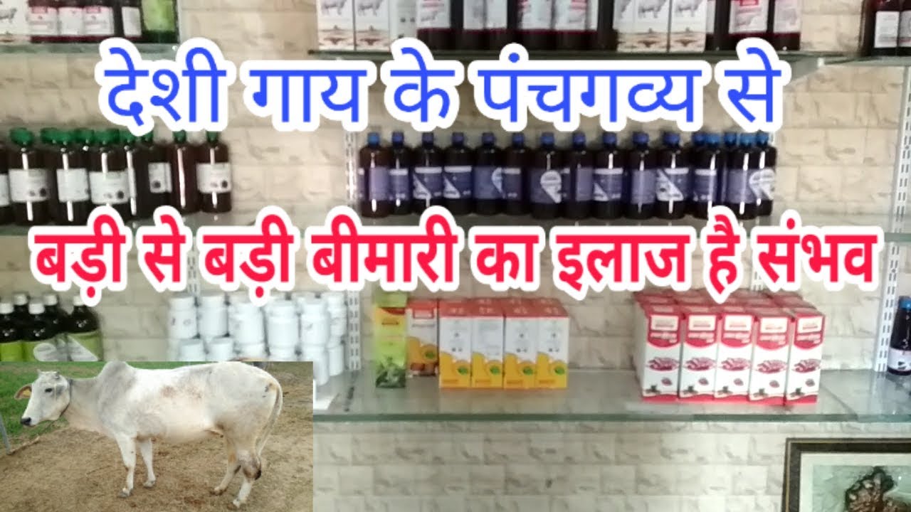 देसी गाय के पंचगव्य से बनी ये दवाईयां देख कर चौक जाएंगे आप