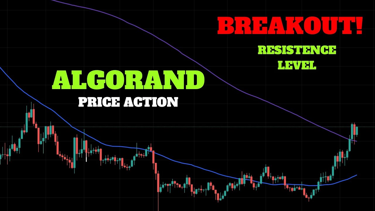 ALGORAND: MASSIVE PRICE ACTION⁉️ | #ALGO TECHNICAL ANALYSIS 🚀