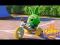 Bicycle | Sunny Bunnies | Cartoons for Kids | WildBrain Blast