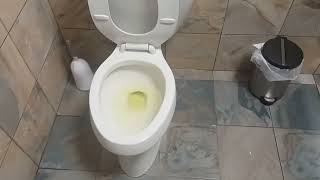 American Standard Urinal And A Kohler Highline Toilet At A Gas Station