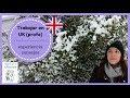 TRABAJAR DE PROFESOR EN INGLATERRA BUSCAR Y CV