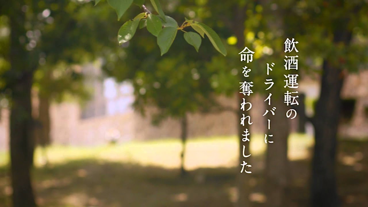 飲酒の後で何時間すれば運転できる 計算で安全運転できます 厳選 新鮮 とっておき びっくり情報 飲酒の後で何時間すれば運転できる 計算で安全運転できます 厳選 新鮮 とっておき びっくり情報
