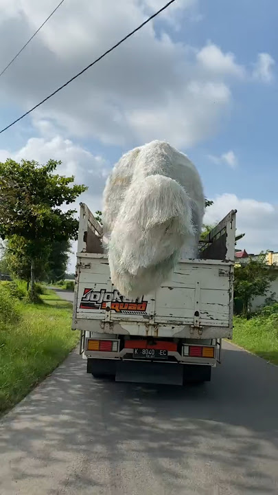 BESARNYA HEWAN INI #ogohogoh #nyepi2025 #tradisi #bali #pawai #truck #adat #shorts