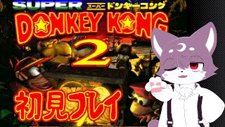 【スーパードンキーコング2】マグマを超えた先に